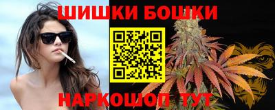 гашик Партизанск
