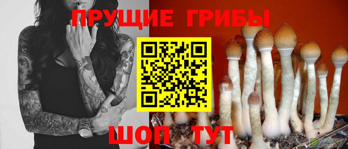 Сатка  Псилоцибиновые грибы MAGIC MUSHROOMS  Вход с VPN 