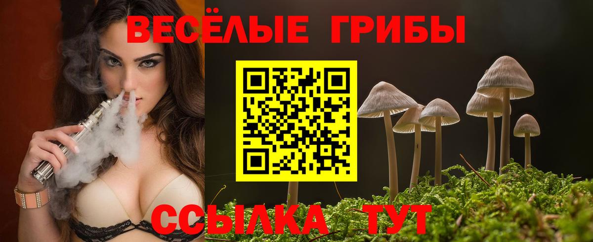 Псилоцибиновые грибы MAGIC MUSHROOMS Сатка